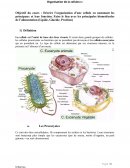 Organisation de la cellule