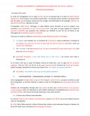 Histoire des minorités et immigration en France