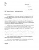 Lettre de motivation auxiliaire de puériculture