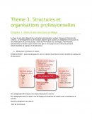 Structures et organisations professionnelles : le choix d'une structure juridique