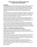 Travail de recherche sur la ville de Laelith
