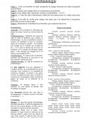 Méthodologie de la dissertation