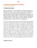 Etude de cas Dubaï