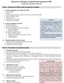 Plan dossier gestion des risques