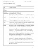 Fiche de lecture : La chambre des merveilles