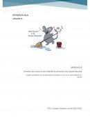 Dossier Hygiène Module 8 AS
