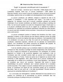 Le pouvoir constituant est-il souverain ?