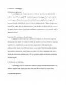 Comprendre les Pathologies