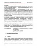 Ecrit de pratiques professionnelles DEES épreuve du DC1