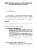 Rabelais et la métaphore des boites de Silène