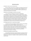 Microéconomie