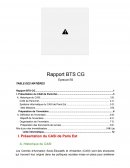 Rapport de stage au CASI de Paris