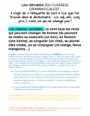 Les classes grammaticales