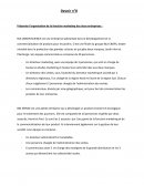 Présenter l’organisation de la fonction marketing d'entreprises