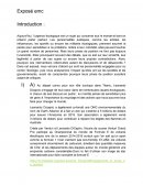 Exposés sur les célébrités engagées dans l'écologie