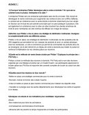 Fiche E4 Phildar
