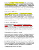 Grand oral sur l'aspirine