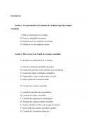 Audit de consolidation