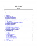 Rapport de Shell