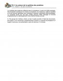 La synthèse des protéines