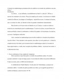 La modélisation et la résolution des problèmes issus des échecs par les mathématiques