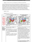 Le mode d’action des anti-inflammatoires