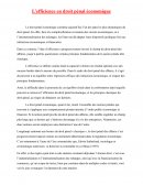 L’efficience en droit pénal économique