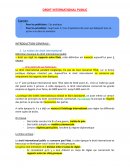 Droit international public