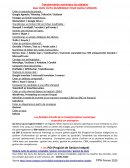 Atelier de transformation numérique