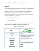Enjeux de MICROMIX