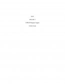 Rapport de stage en EHPAD