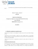 Programme de droit constitutionnel, licence 1ère année, semestre 1
