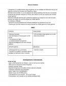 Rose & Théodore SWOT