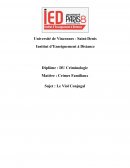 Mémoire sur le viol conjugal