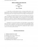 Le droit commun des sociétés