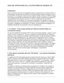 Analyse de la plateforme de marque ON