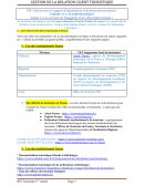 Les serveurs de voyagistes et les sites professionnels