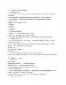 L'histoire des Carolingiens L'histoire des Carolingiens