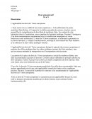 L’applicabilité du droit de l’Union européenne