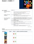 Rapport d'activité BTS GTLA