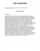 Les animaux et nous : imaginer, connaître, comprendre l’animal