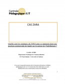 Les stratégies de Zara pour le maintient de son monopole Les stratégies de Zara pour le maintient de son monopole