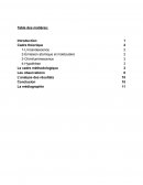 Rapport de laboratoire sur la couleur des flammes Rapport de laboratoire sur la couleur des flammes