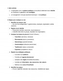 Perspective politique