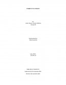 L'oxygène et ses composés L'oxygène et ses composés