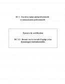 Travail en équipe pluriprofessionnelle et communication professionnelle