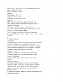 La féodalité & les premiers signes d’émergence de l’État La féodalité & les premiers signes d’émergence de l’État