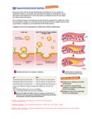 L'hypercholestérolémie