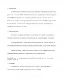 Le petit prince, Saint Exupéry