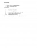 Le lien entre science et philosophie